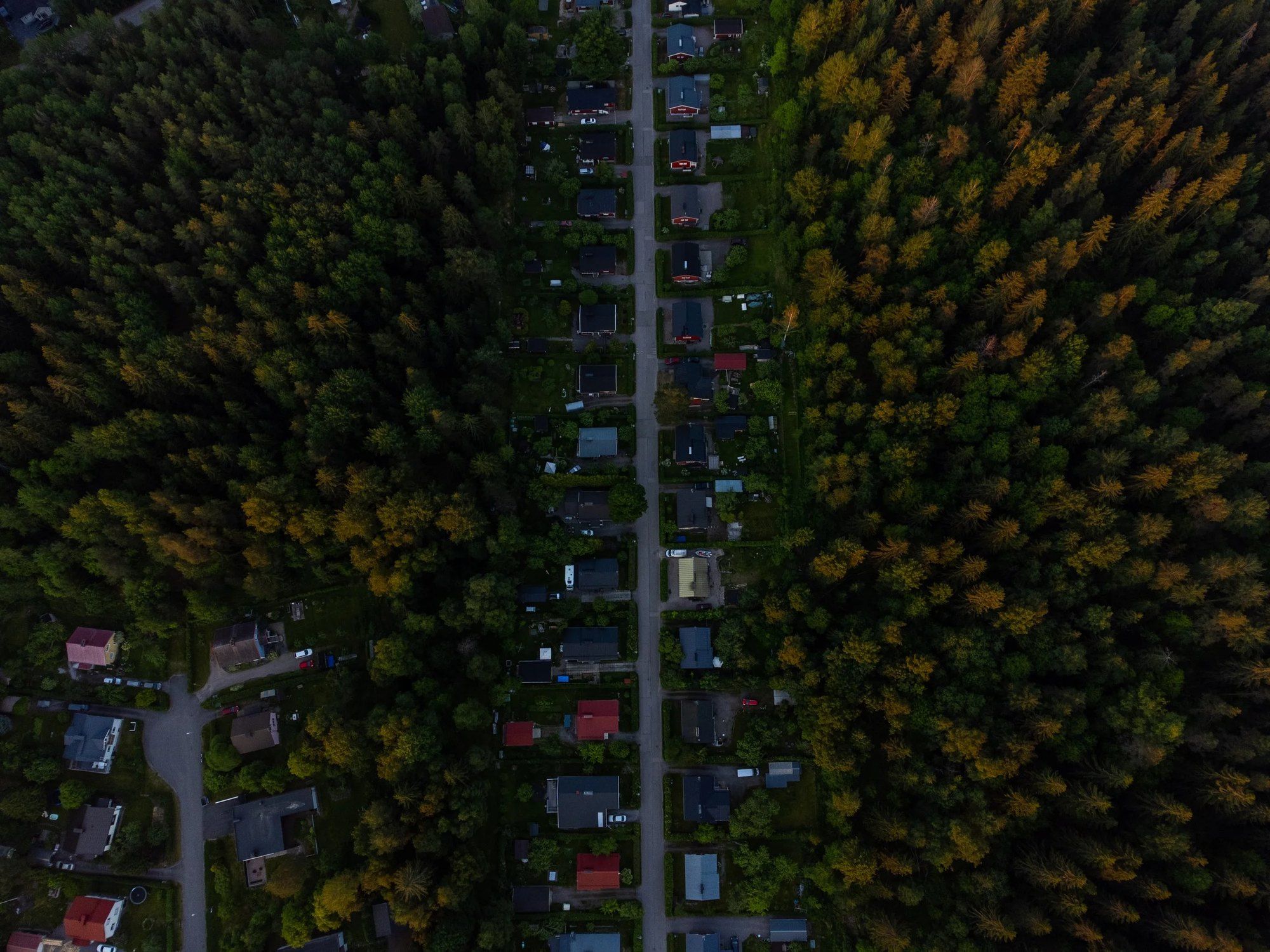 Omakotitaloalue ja metsä ylhäältä dronella kuvattuna